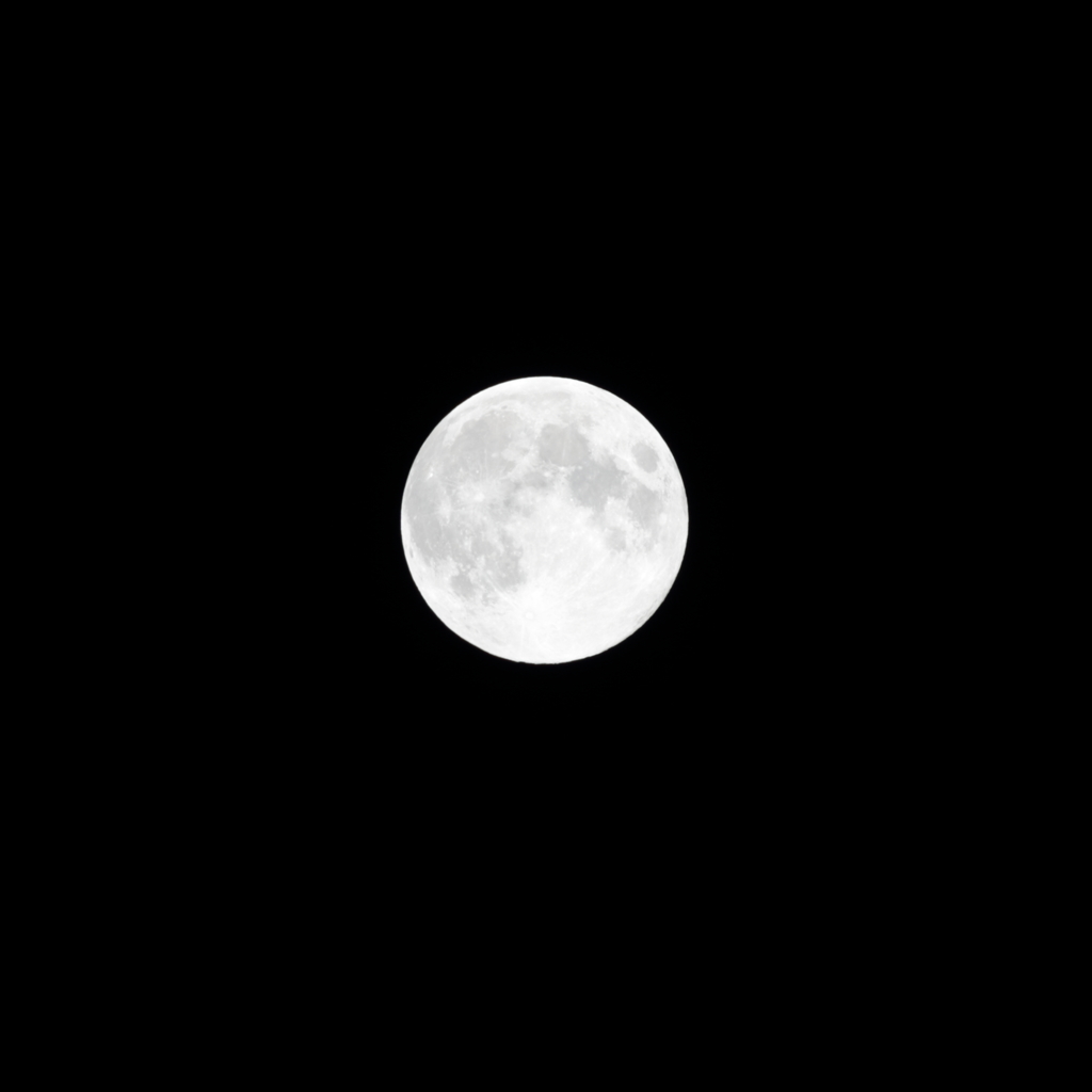 on a night with a full moon