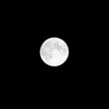 on a night with a full moon