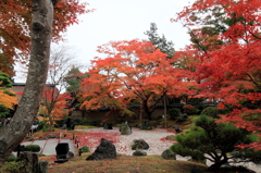 円通院 紅葉真っ盛り