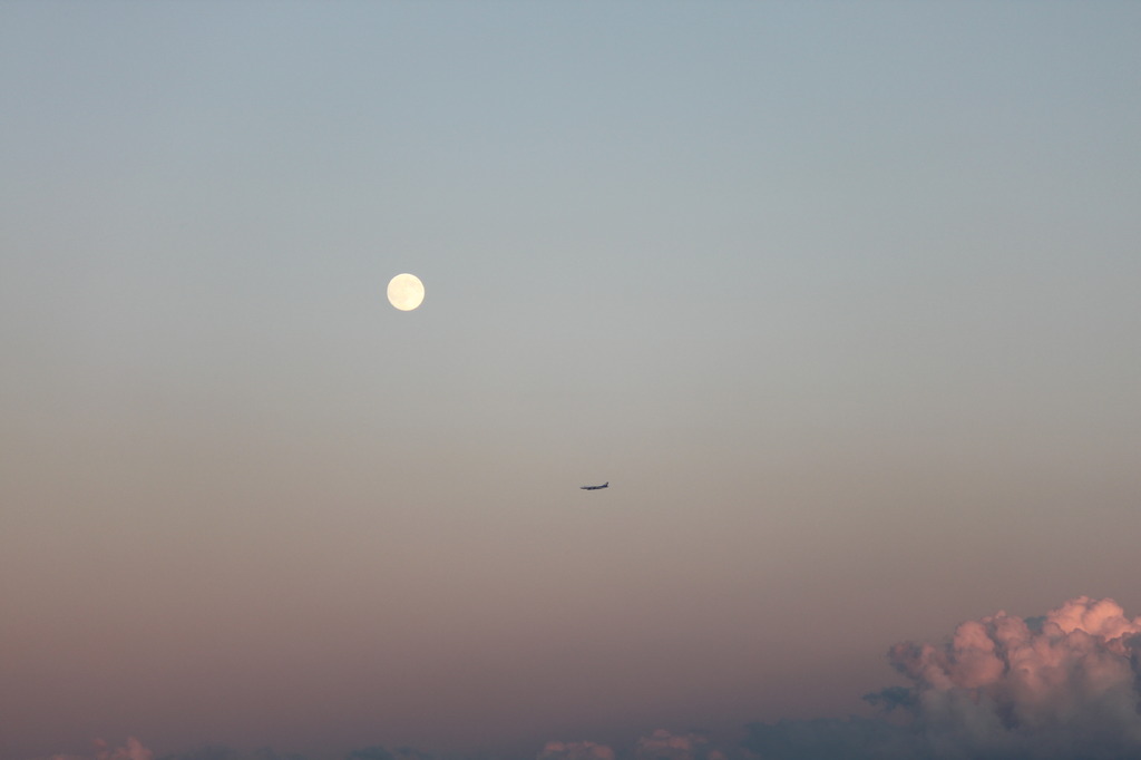 夕暮れの｢中秋の名月｣飛行