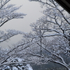 積雪