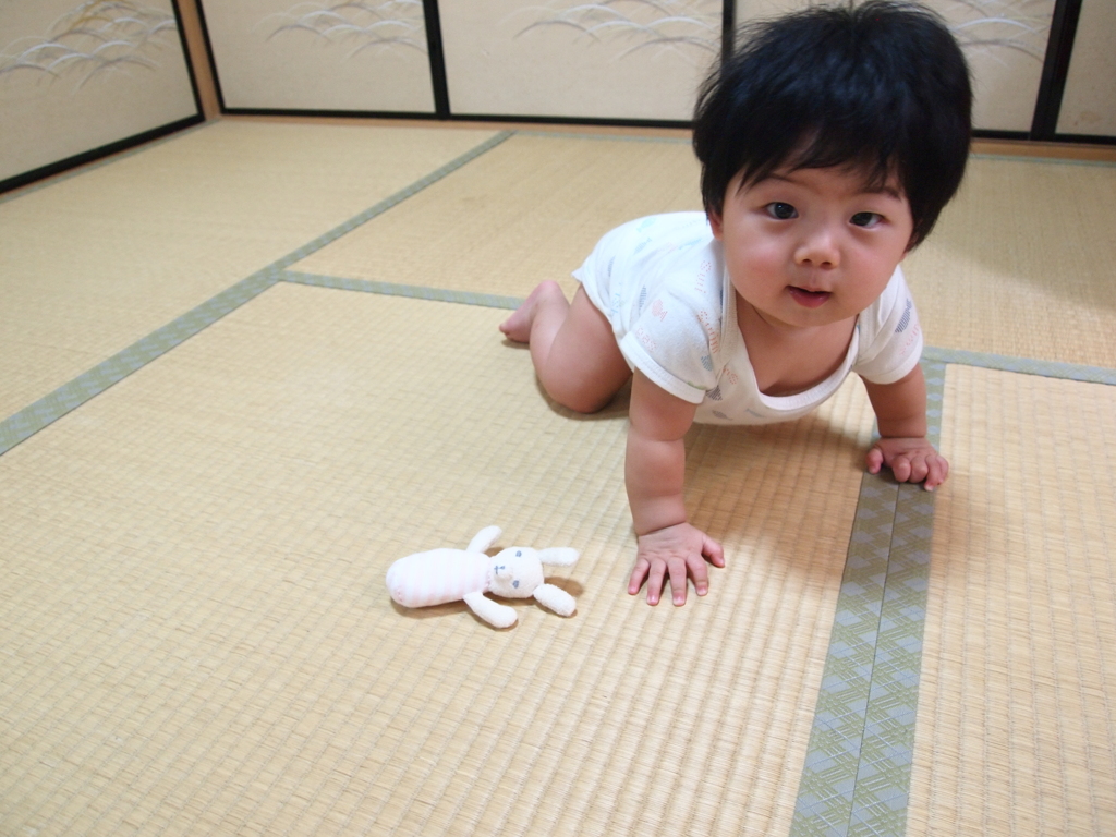 小さいコモドドラゴン(笑)