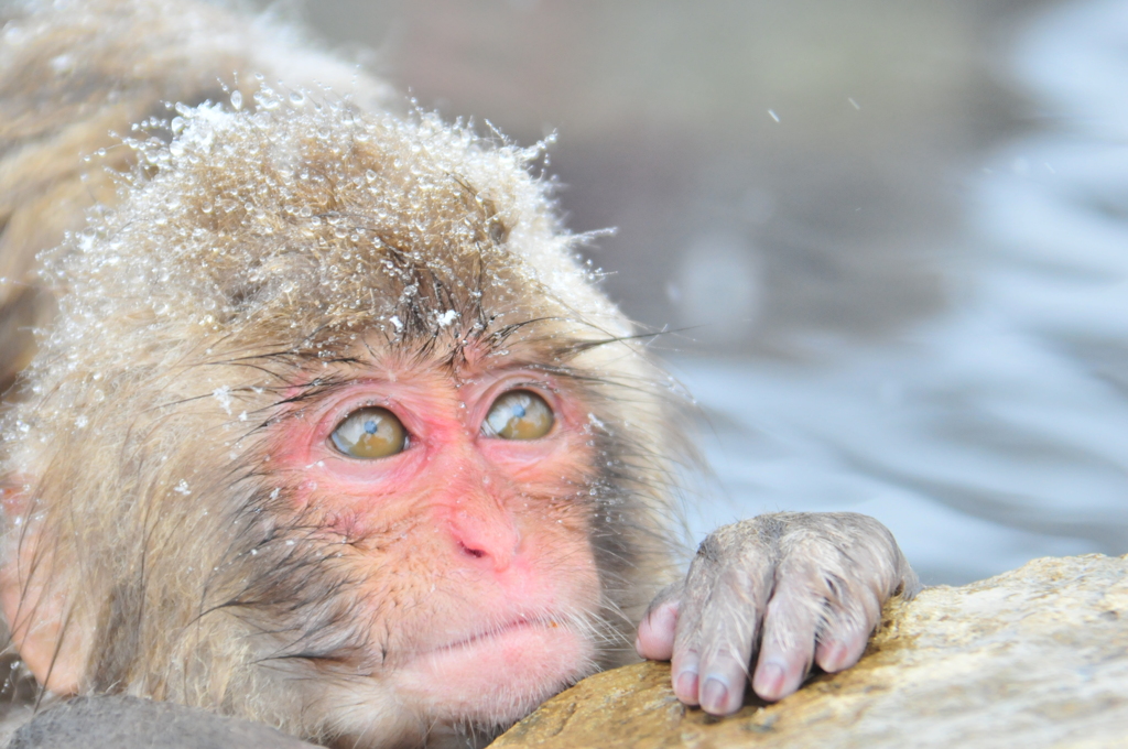 .雪見風呂