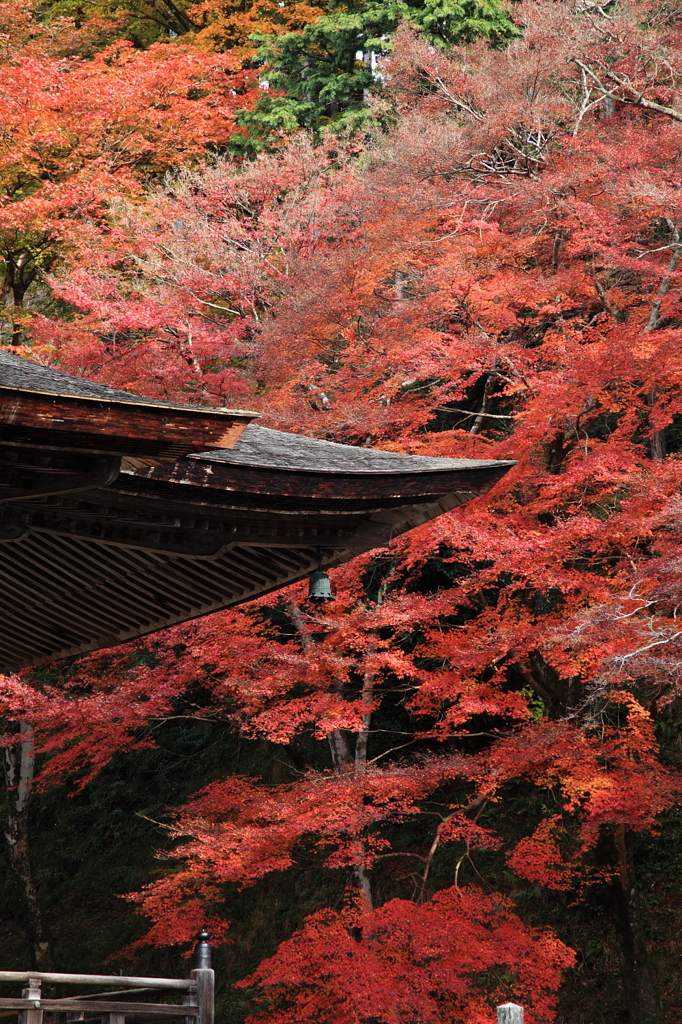 勝林院