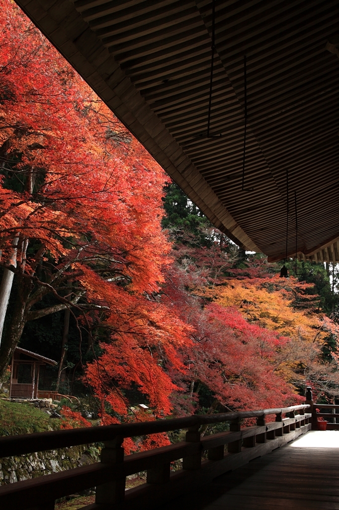 勝林院