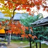 Kodaiji Momiji