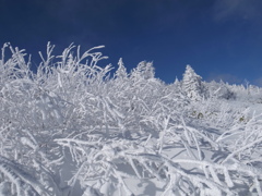 標高2000ｍ