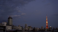 東京タワー点灯