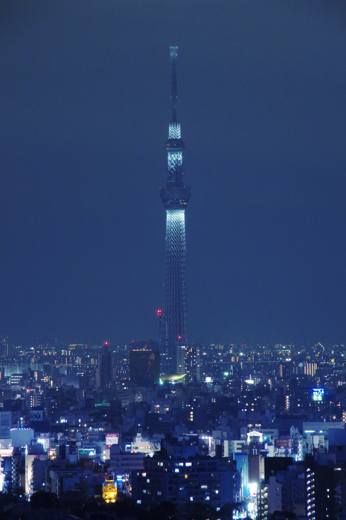開業前　最後の点灯