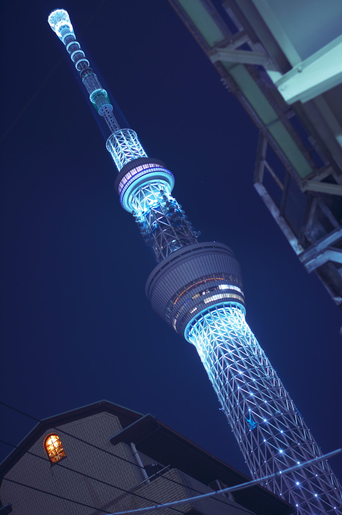 Sky Xmas Tree
