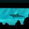 水族館