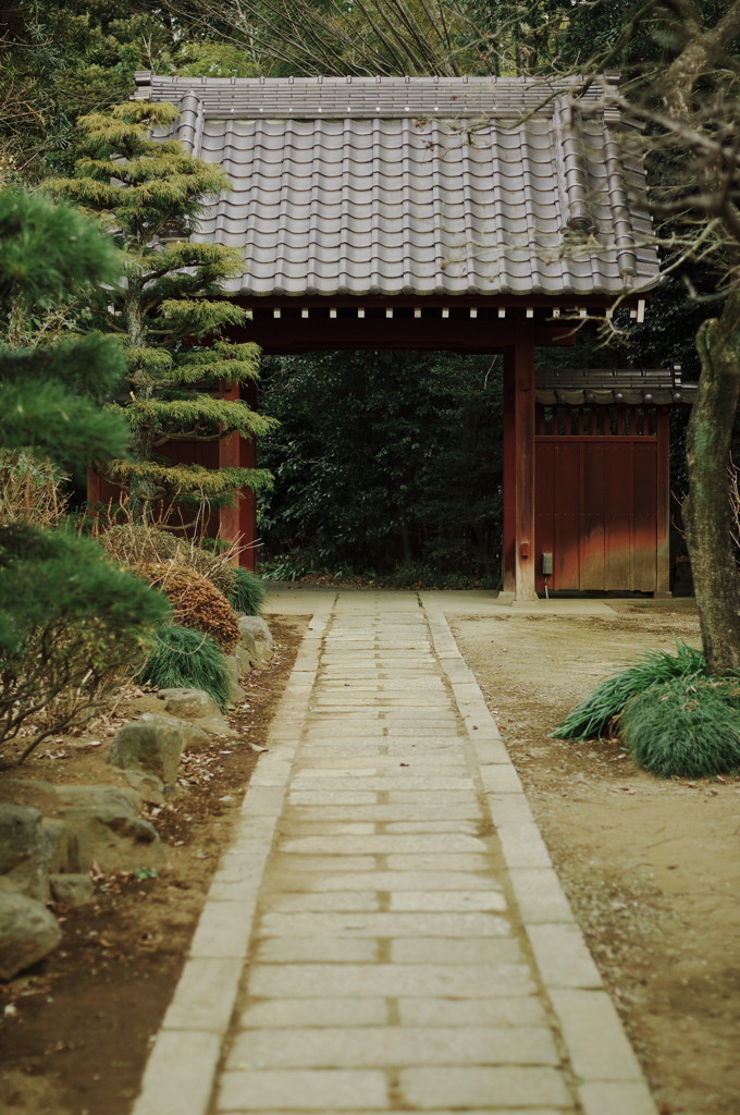 門