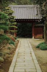門