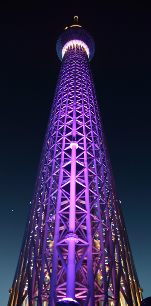 スカイツリーの夜