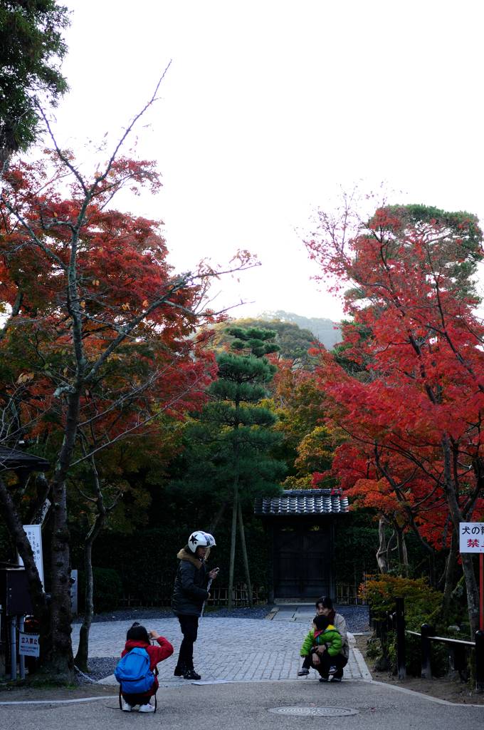 紅葉