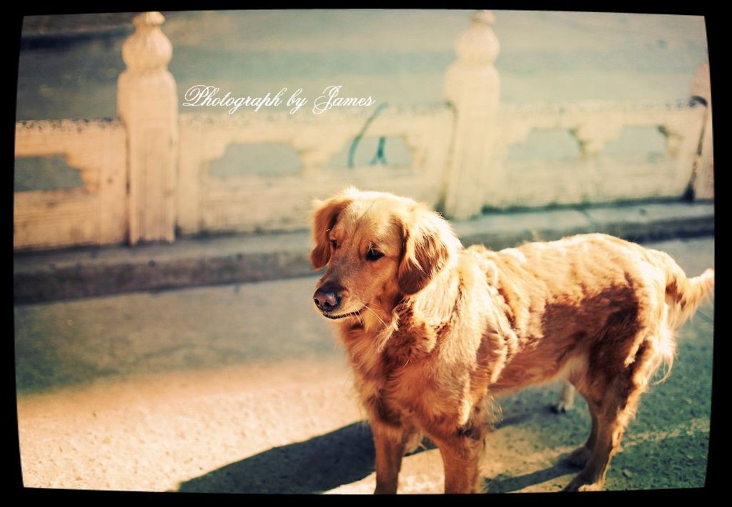 `4@293G{`X57`0%K2ZYK)LV