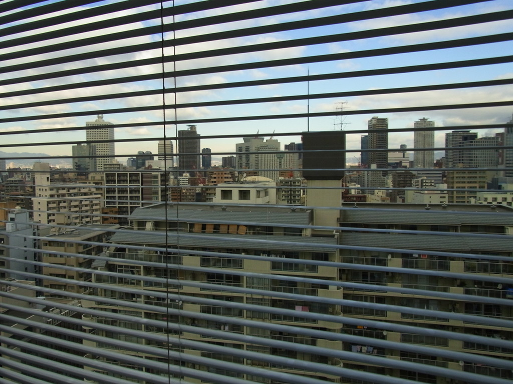 ブラインドの向こう