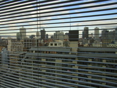 ブラインドの向こう