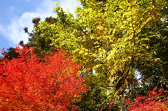 色とりどりの世界