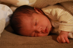 リトルモンスター