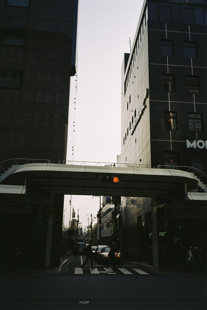 四条