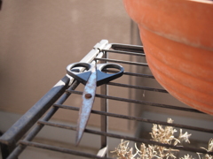 ガーデンオフシーズン