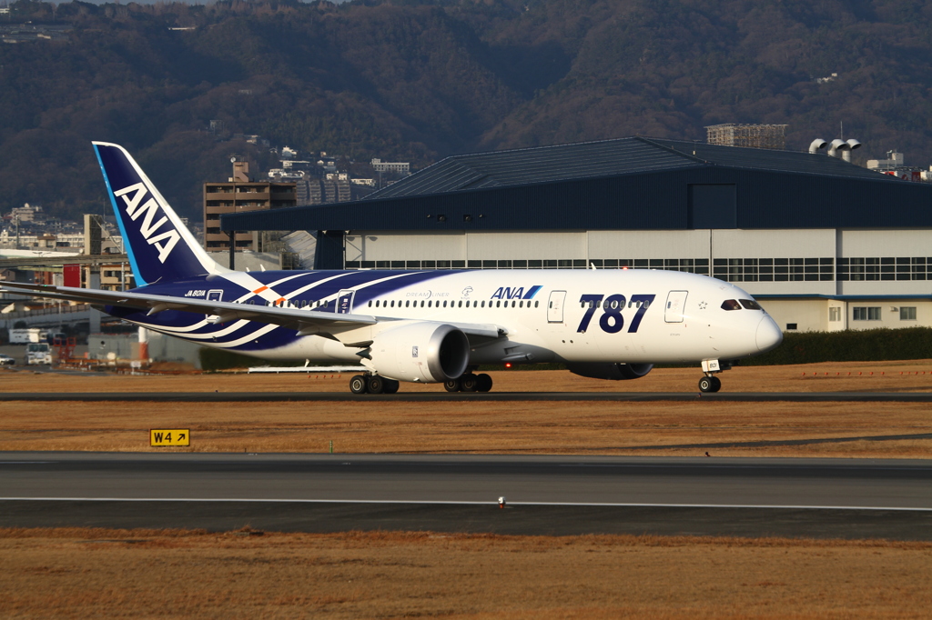 Boeing 787-881(JA801A)