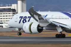 Boeing 787-881(JA801A)