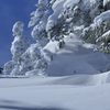 ドンキホーテ