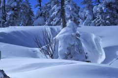 白と風と影のオブジェ