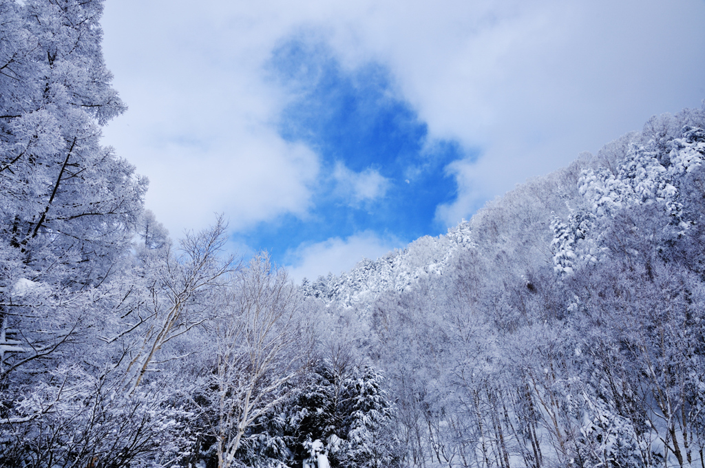雪上がり…