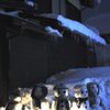 春を待つ