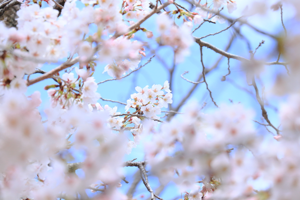 ふんわり