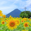 開聞岳