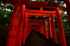 千本鳥居