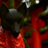 狐(石)