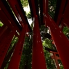 千本鳥居