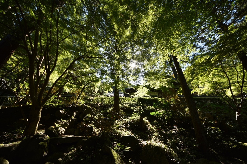 南禅寺