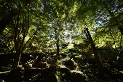 南禅寺