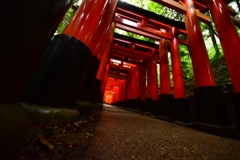 千本鳥居