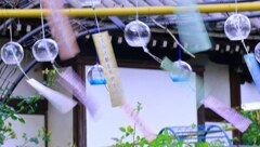 夏の思い出