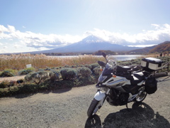 富士山－河口湖