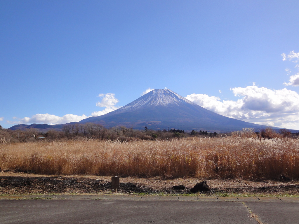 富士山－朝霧高原①