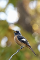 お目々パッチリだね