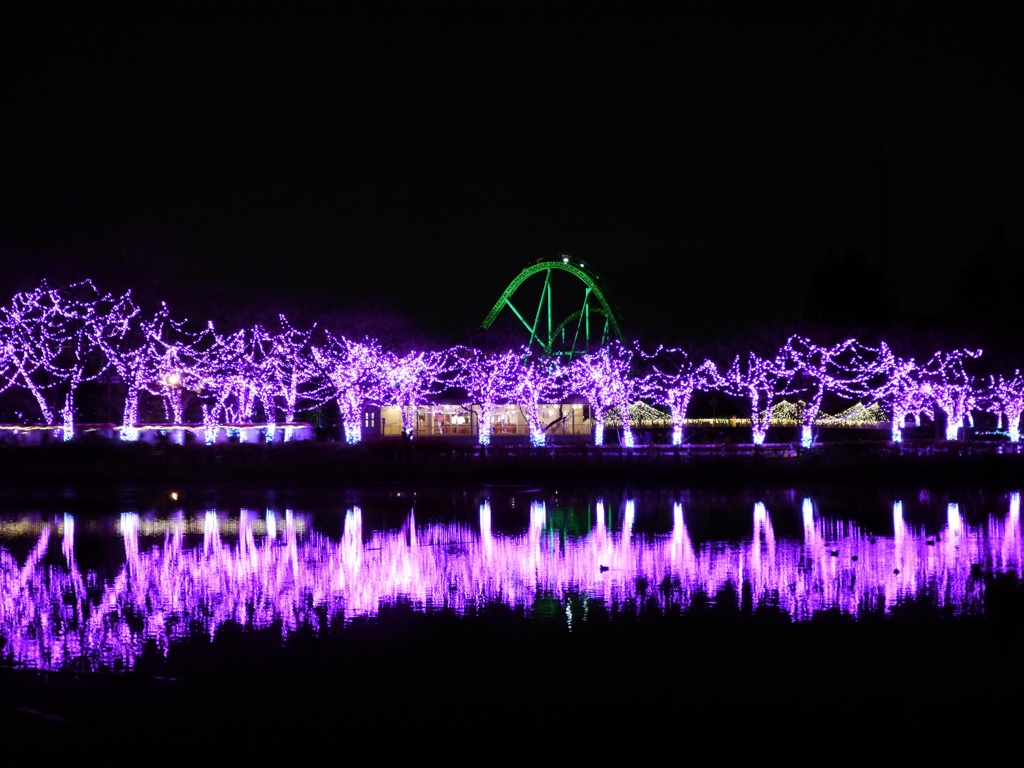 夜の遊園地