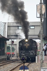 土日に運行しています。