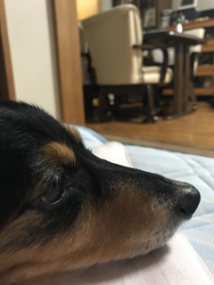 今日は雨なんだ〜