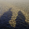 水面に映る影、今日はふたりで。
