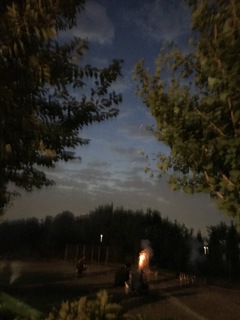 夏夜空の残火