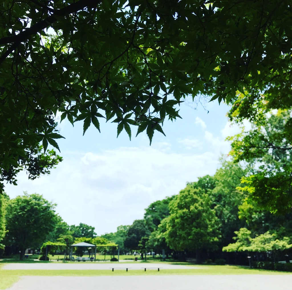 あっ、もうちょっとで、ハート？